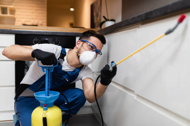Best Mosquito Control Services  in Adams, WI
