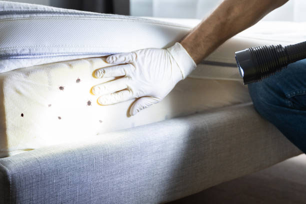 Best Pest Control Near Me  in Adams, WI
