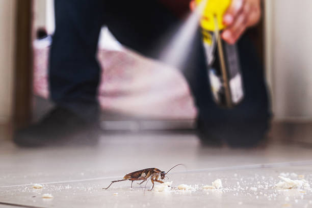 Wildlife Control Services in Adams, WI