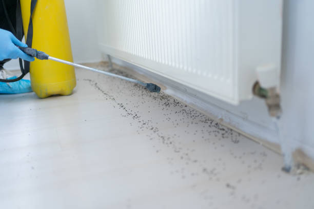 Best Commercial Pest Control Services  in Adams, WI