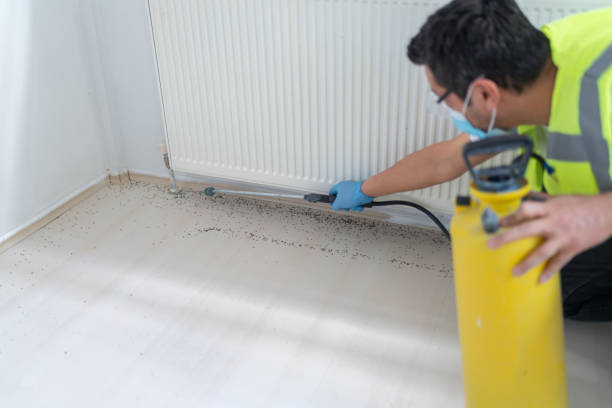 Best Emergency Pest Control  in Adams, WI