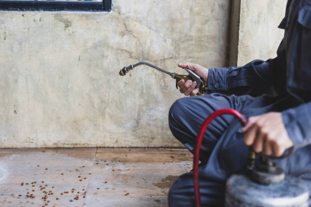 Best Exterminator Services  in Adams, WI
