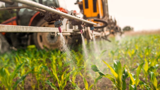 Best Wildlife Control Services  in Adams, WI